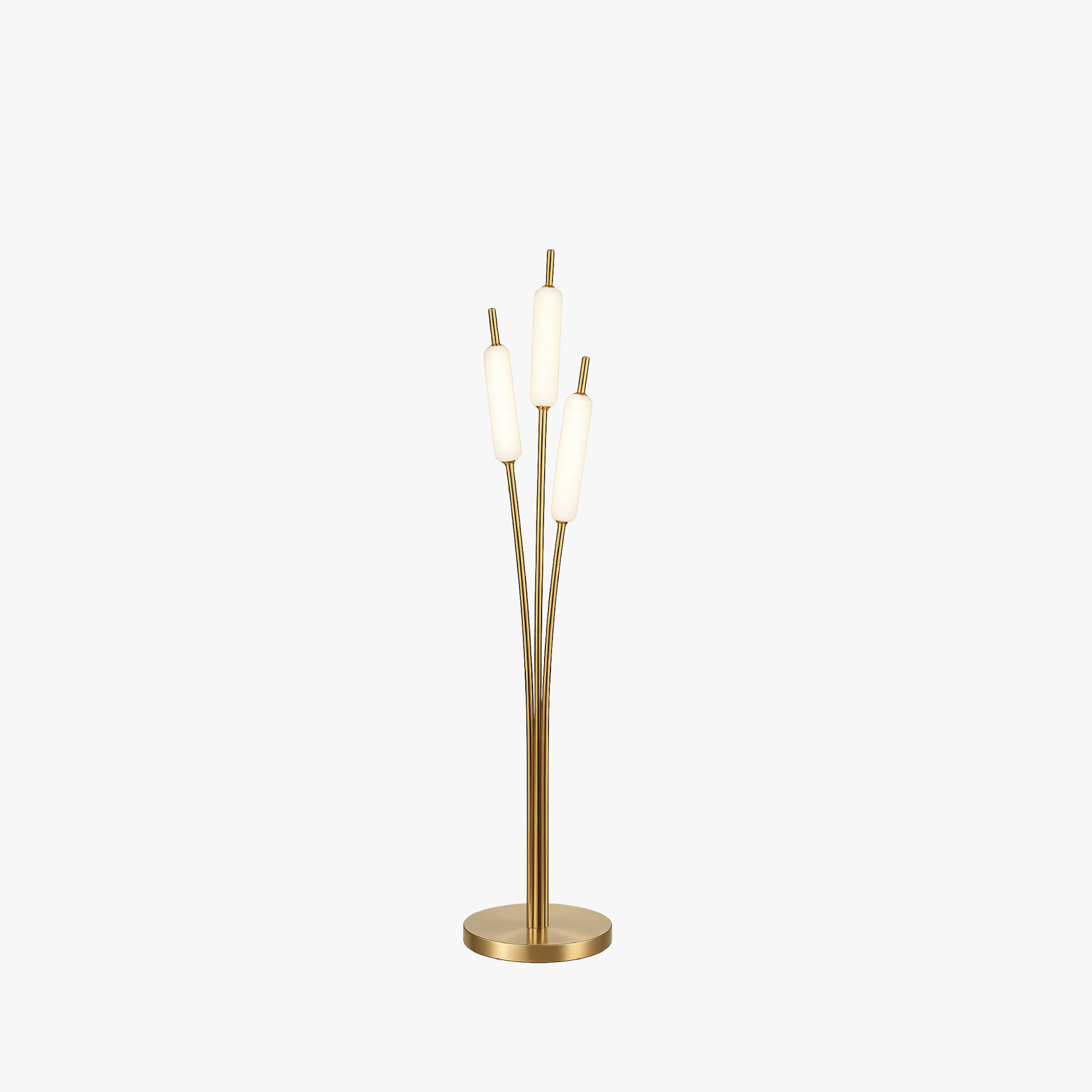 TYPHA 285.04.ON